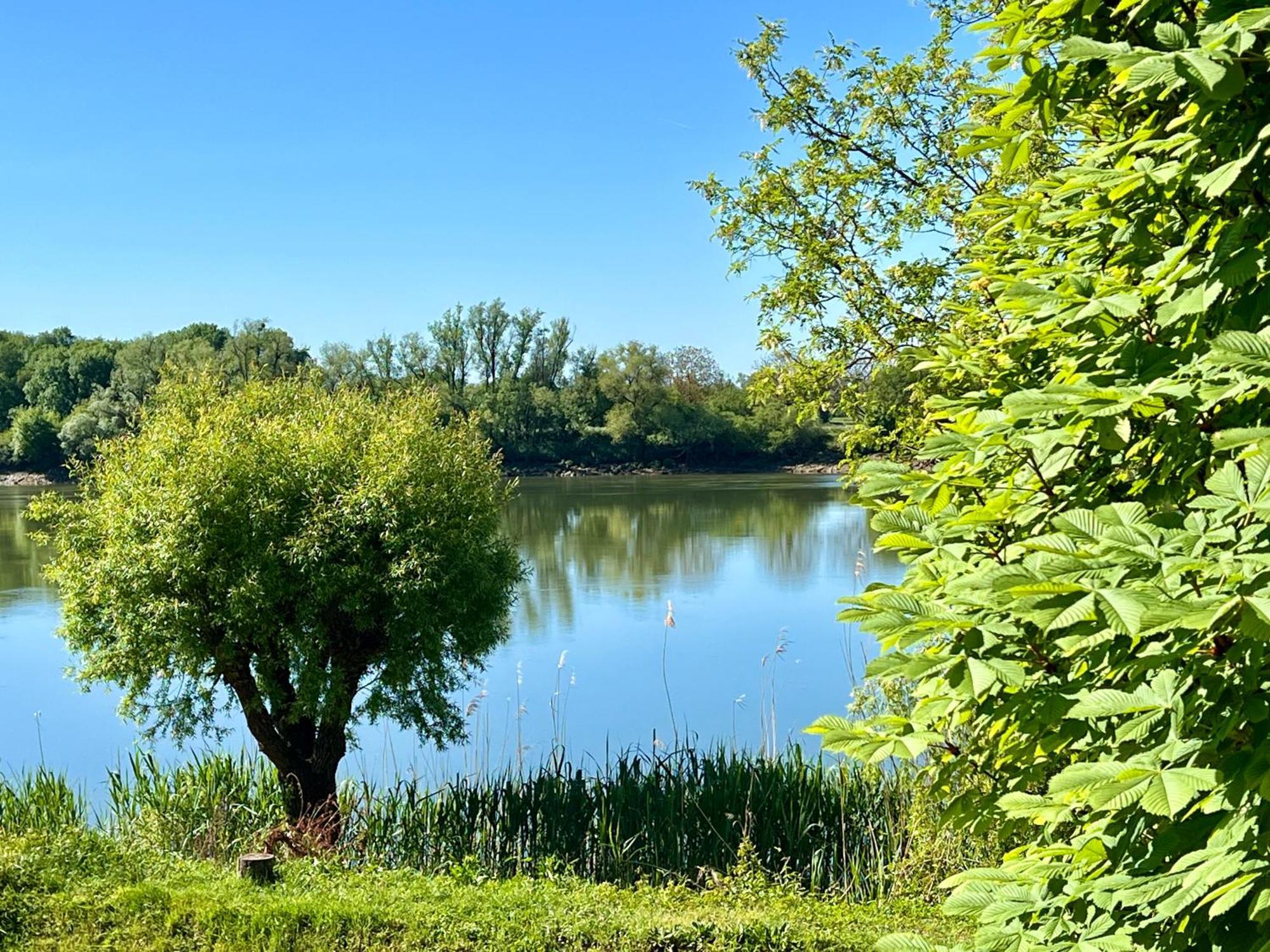 La Villa Du Fleuve Quinsac  Exterior foto
